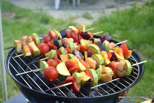 Frigarui vegetale sanatoase, usor de gatit si delicioase