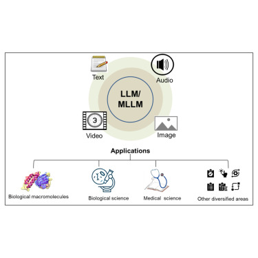 Comparing and Differentiating the Fields of Medicine and Law