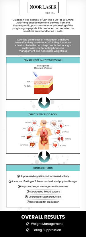 "Crucial Details for Individuals Contemplating or Utilizing Weight Loss Medications"