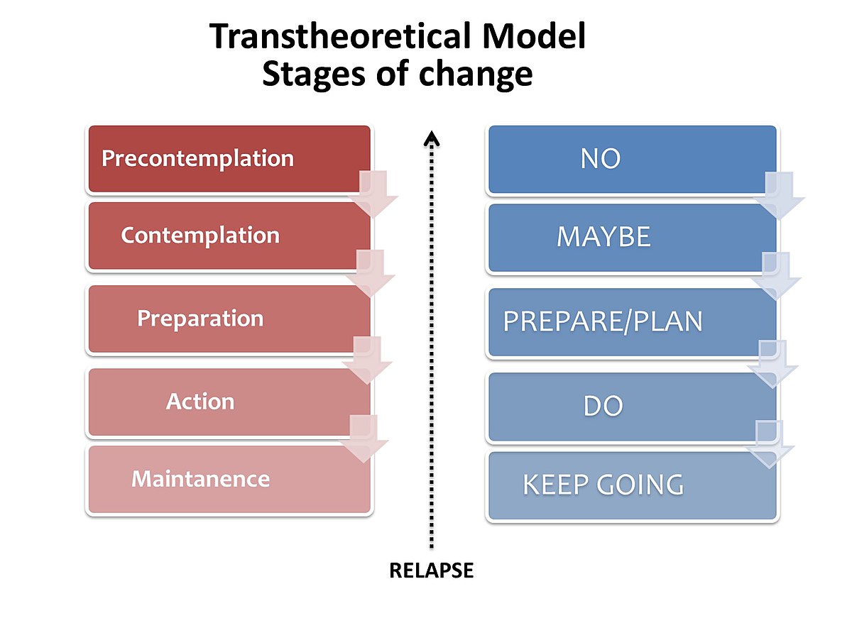 "Successful Approaches to Surmount Obstacles for Improved Health"