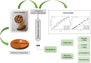 "Evaluating Seed Oils, Olive Oil, and Butter: Advantages and Dangers for Health"