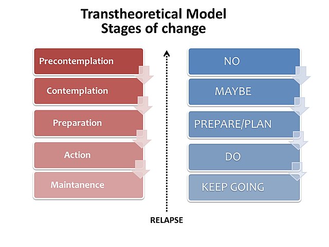 The Influence of One Habit on My Transformation in the Medical Field