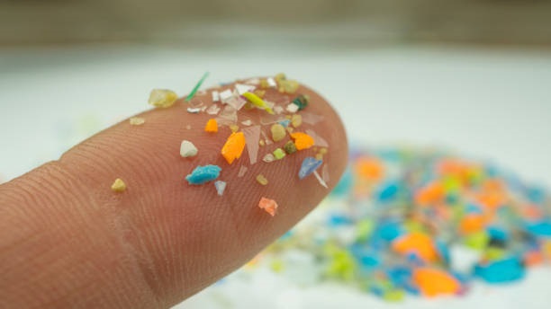 The Possible Connection Between Microplastics and Dementia