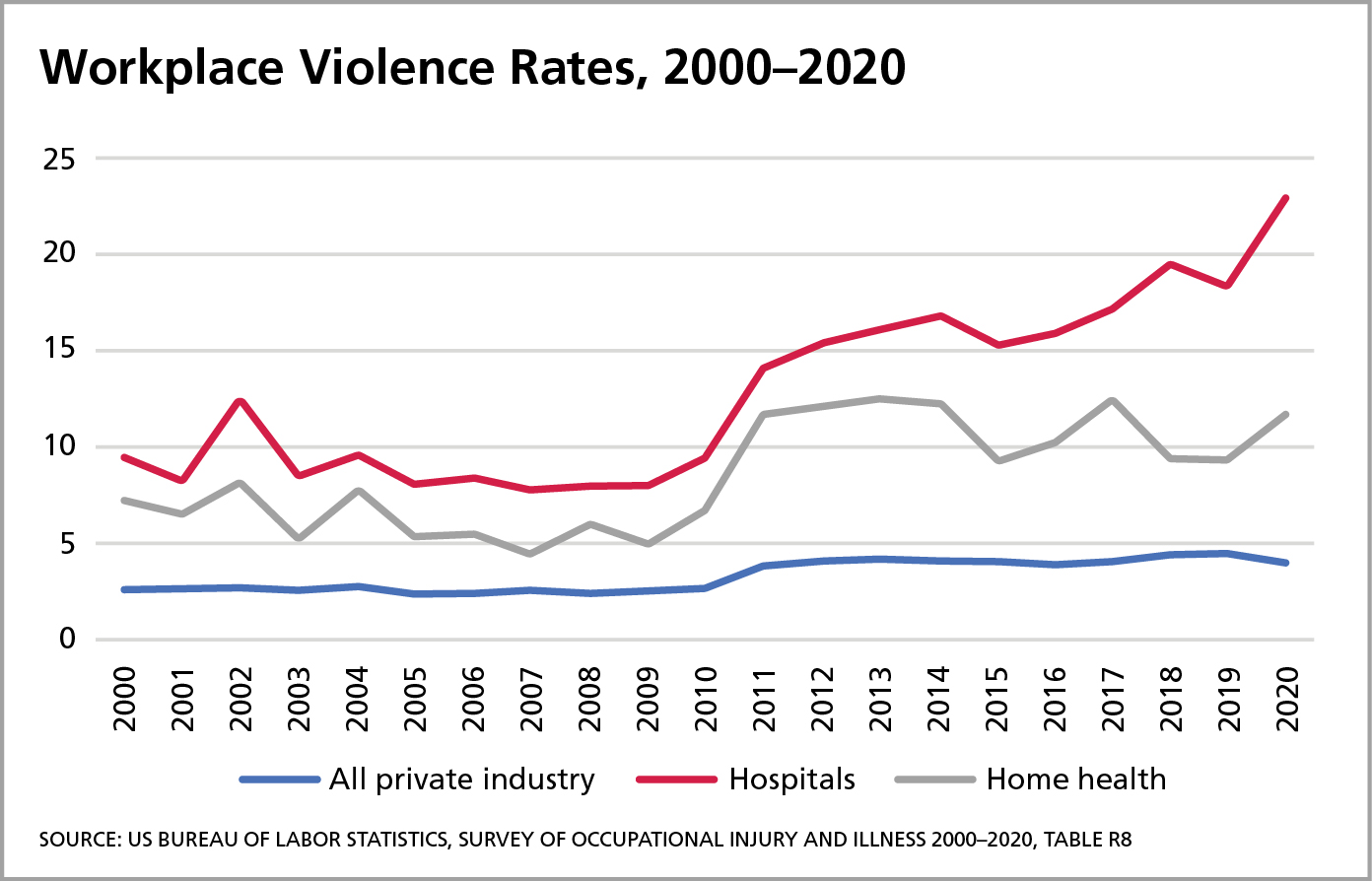 Addressing the Escalating Crisis of Aggression Toward Healthcare Professionals and Its Fatal Outcomes