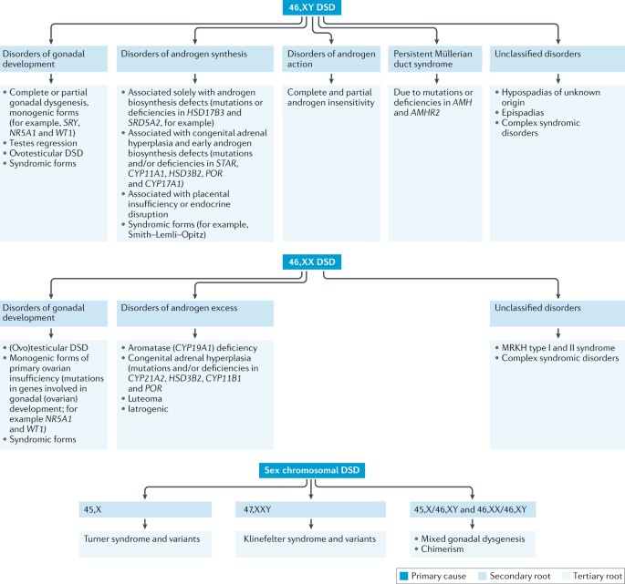 Common Causes for the Deficiencies of Shared Decision-Making in Medicine