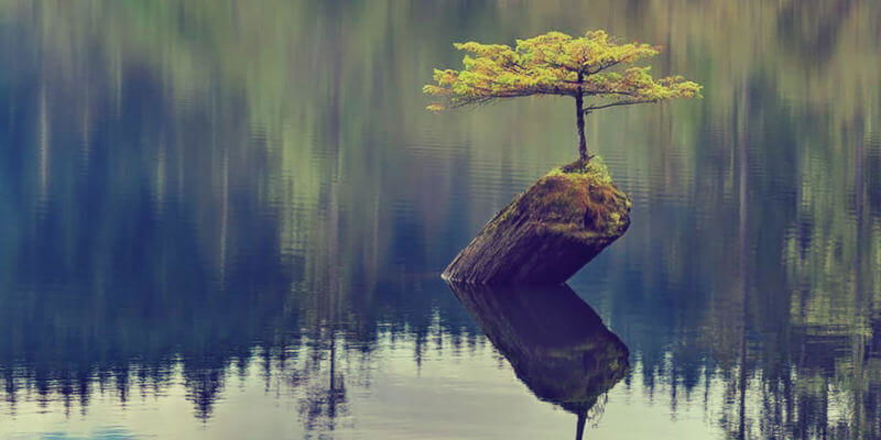 Grasping Burnout: Why It's Not Unavoidable—And How We Can Cultivate Resilience
