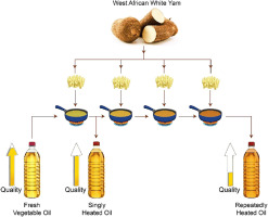 Health Impacts of Seed Oils: Evaluating Vegetable Oil, Olive Oil, and Butter