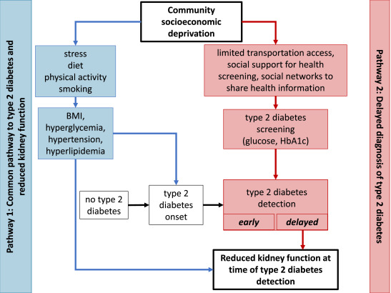 How Medicaid Reductions are Adding to the Diabetic Kidney Failure Emergency