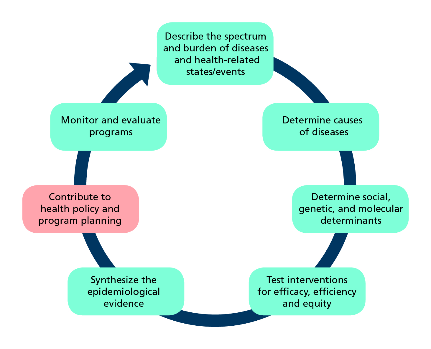 Promoting Equity in Healthcare: The Essential Function of Diagnostic Laboratories
