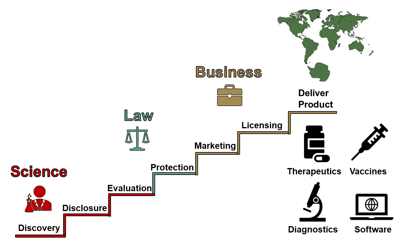 The Evolution and Progression of Medical Licensing Assessments