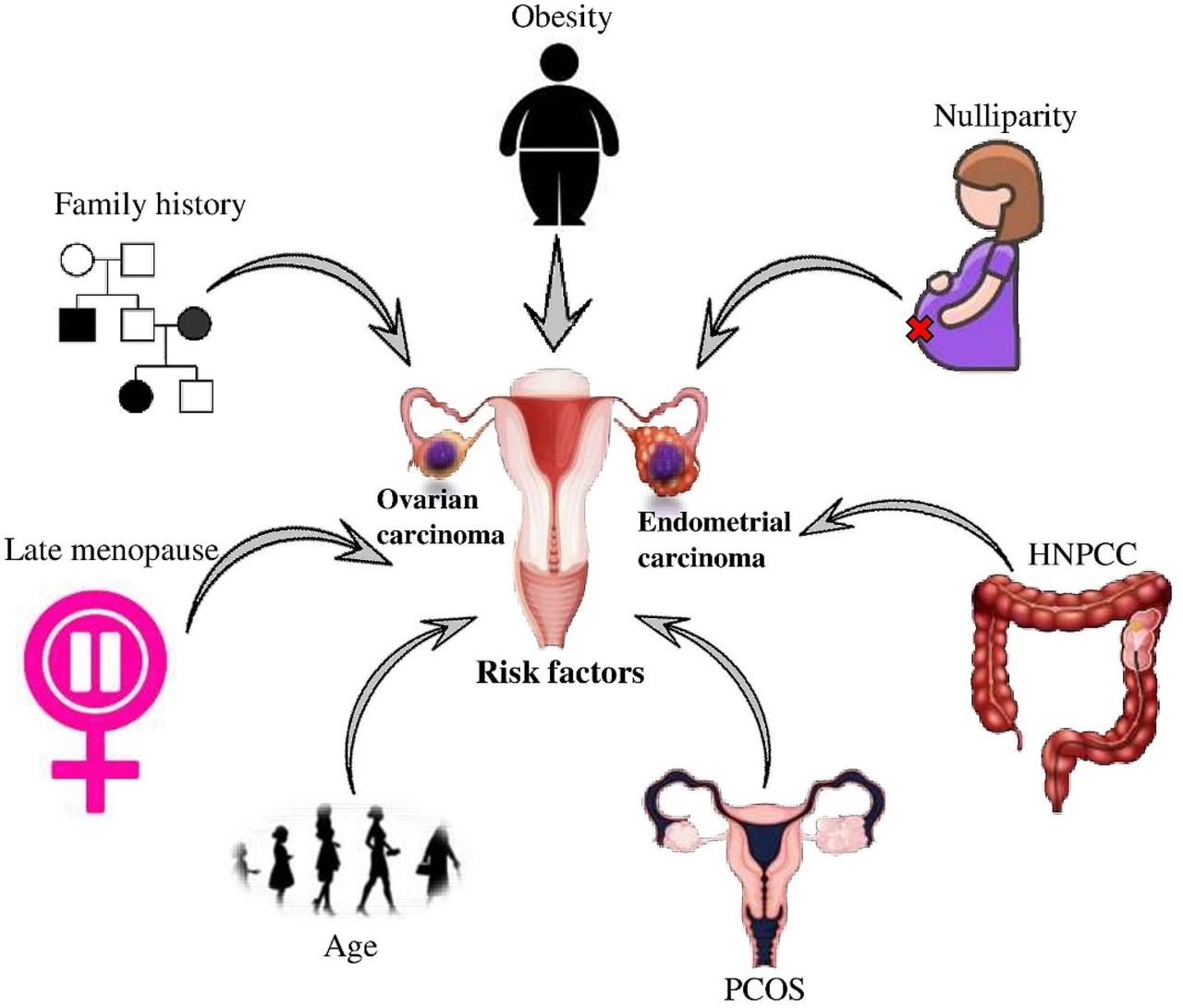 Uncommon Absence of Activity in Uterus Results in Unique and Transformative Diagnosis