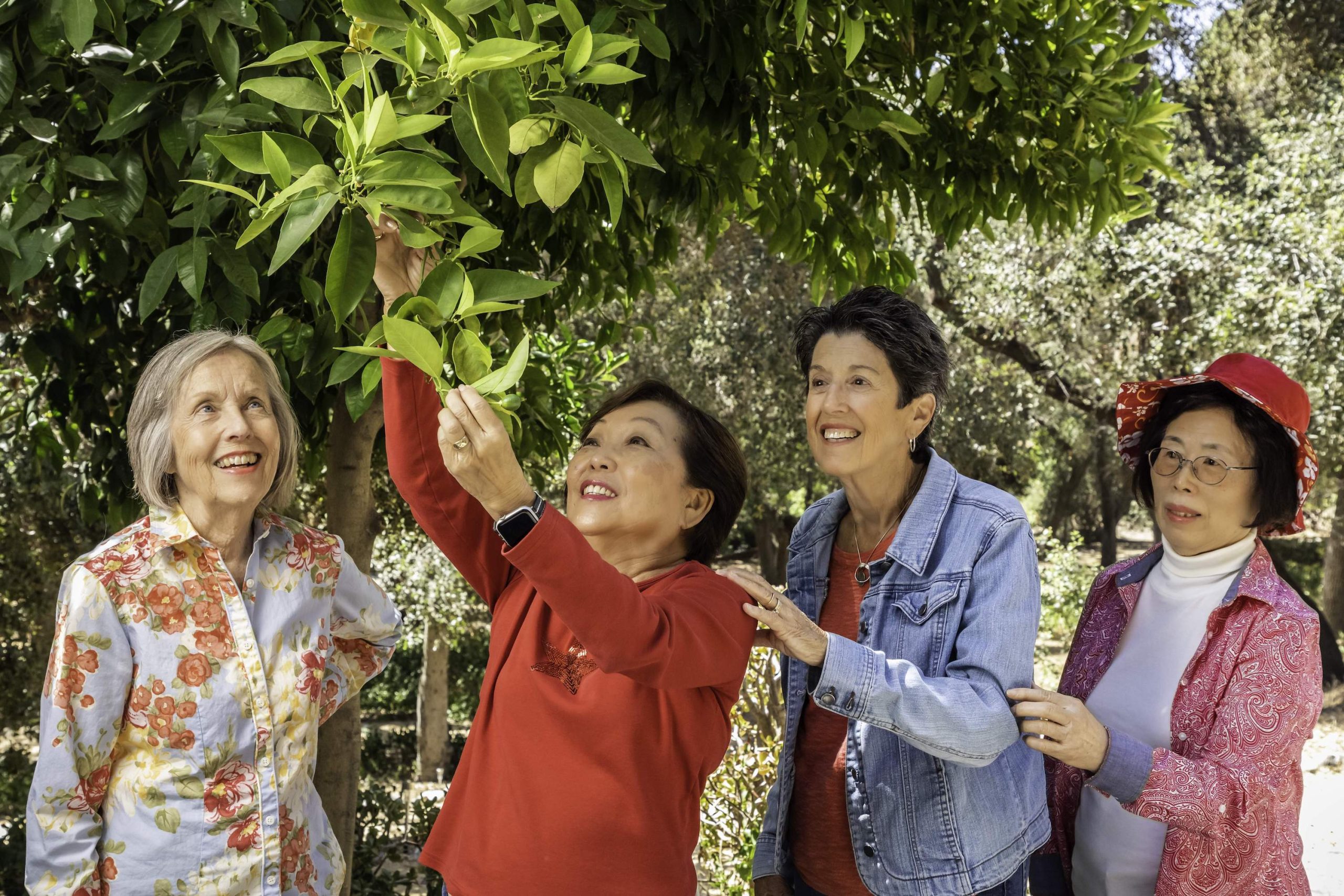 Uncover the Distinct Advantages of Leisure Care Retirement Living