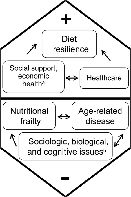 Adjusting Health Care to Meet the Requirements of Elderly Individuals with Disabilities