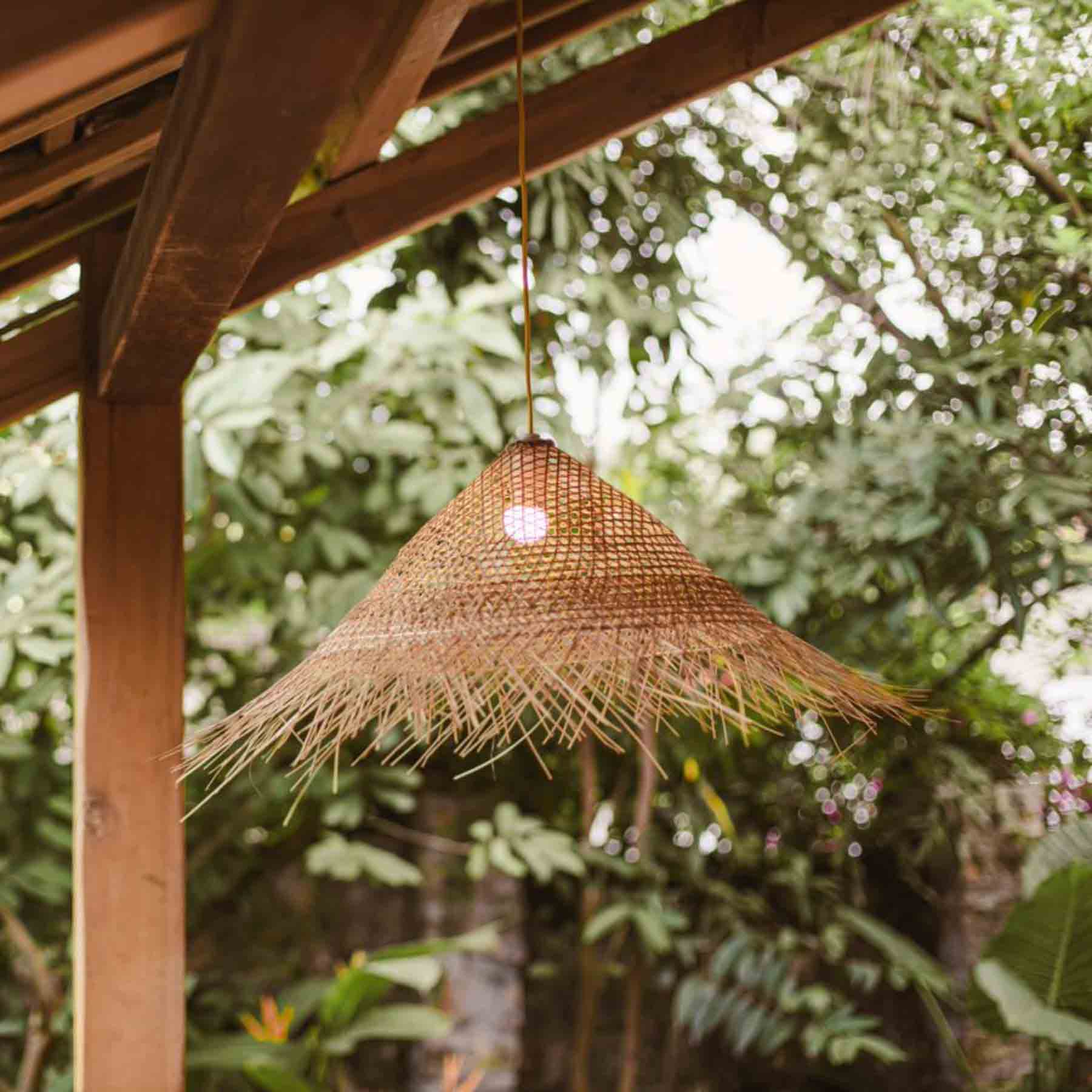 Enhancing Your Way of Life: Adopt Minimalism and Rightsizing at Treeo