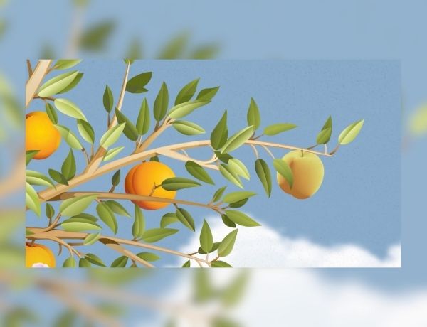 Maximize Your Existence at Treeo: The Advantages of Rightsizing
