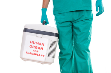 The Family's Strength That Guaranteed a Successful Kidney Transplant