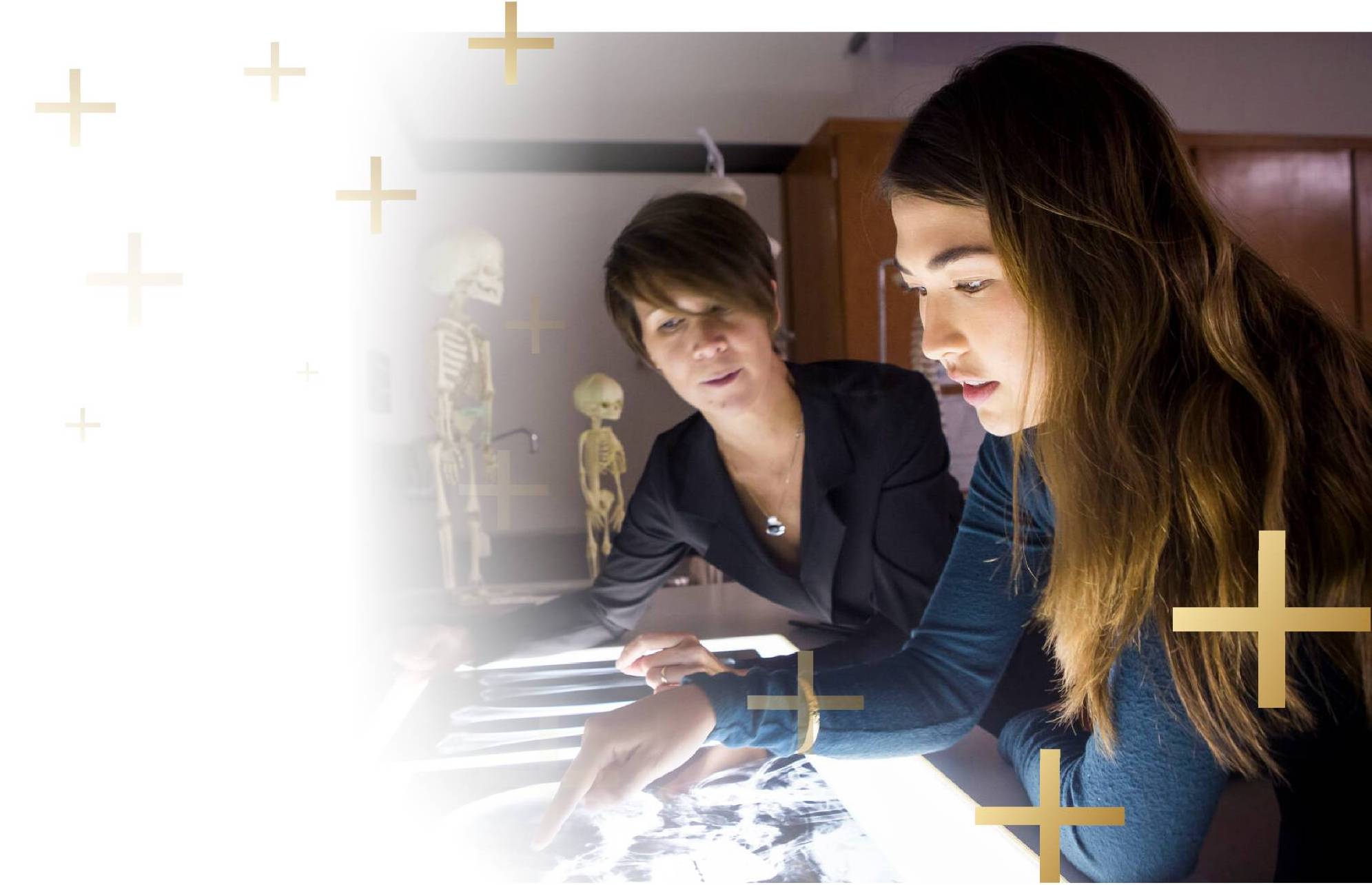The Impact of Art and Science on a Woman's Path to Medicine