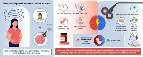 The Primary Impact of Perinatal Mental Health on Maternal Mortality in the U.S.