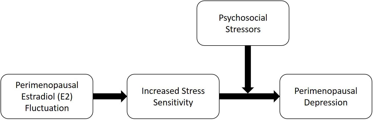 The Science Involved in Menopause and Its Effects on Mental Well-being