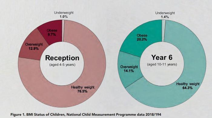 Utilizing Telehealth and GLP-1 Medications for Managing Obesity in Adolescents: A Successful Care Delivery Approach