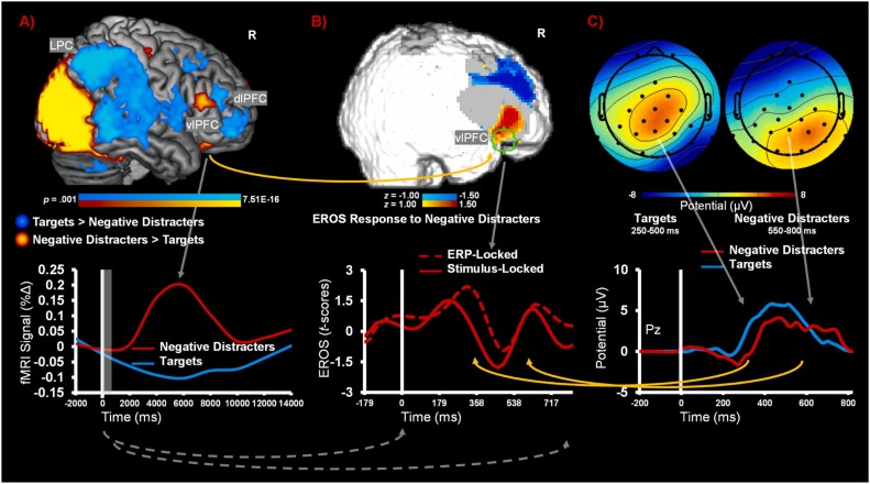 A Neurosurgeon's Path from Exhaustion to Work-Life Harmony: A Daring Transformation