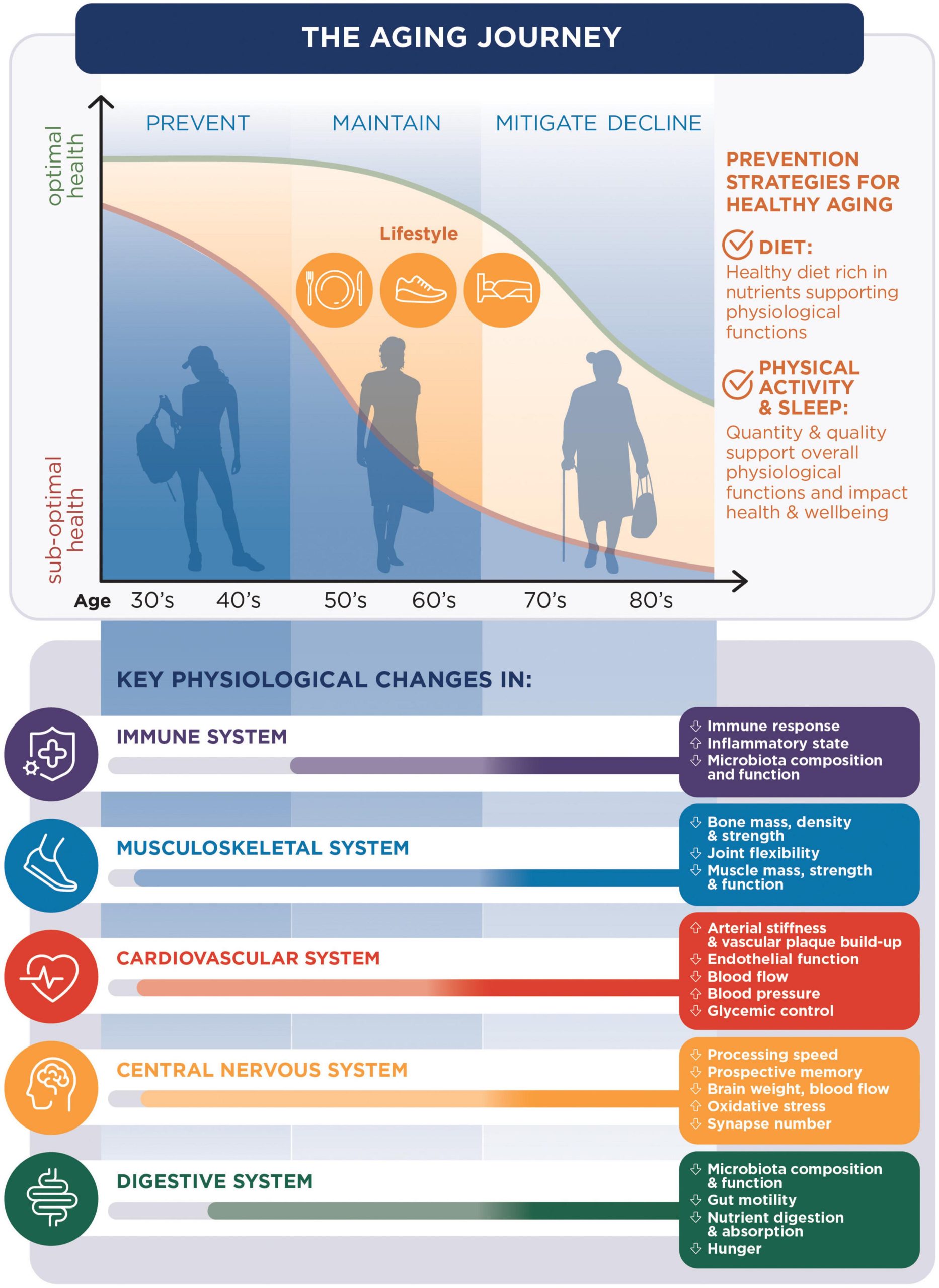 The Concealed Impact of Elevated Blood Pressure on Renal Wellness in Senior Individuals