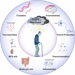 Tackling the Diversity Deficit in Parkinson's Research