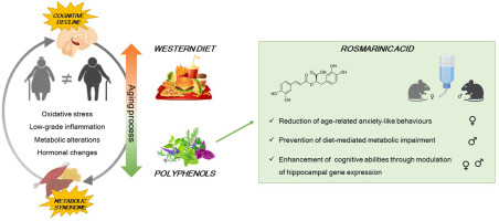 Awe: A Possible Absent Component in Lifestyle Medicine