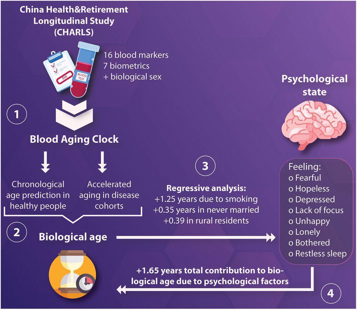 Factors to Take into Account for Obtaining a Biological Age Assessment