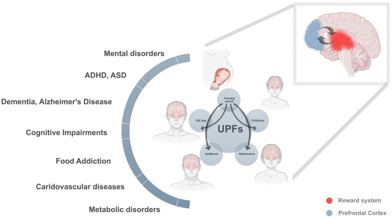 Grasping the Effects of False Urgency Dependence