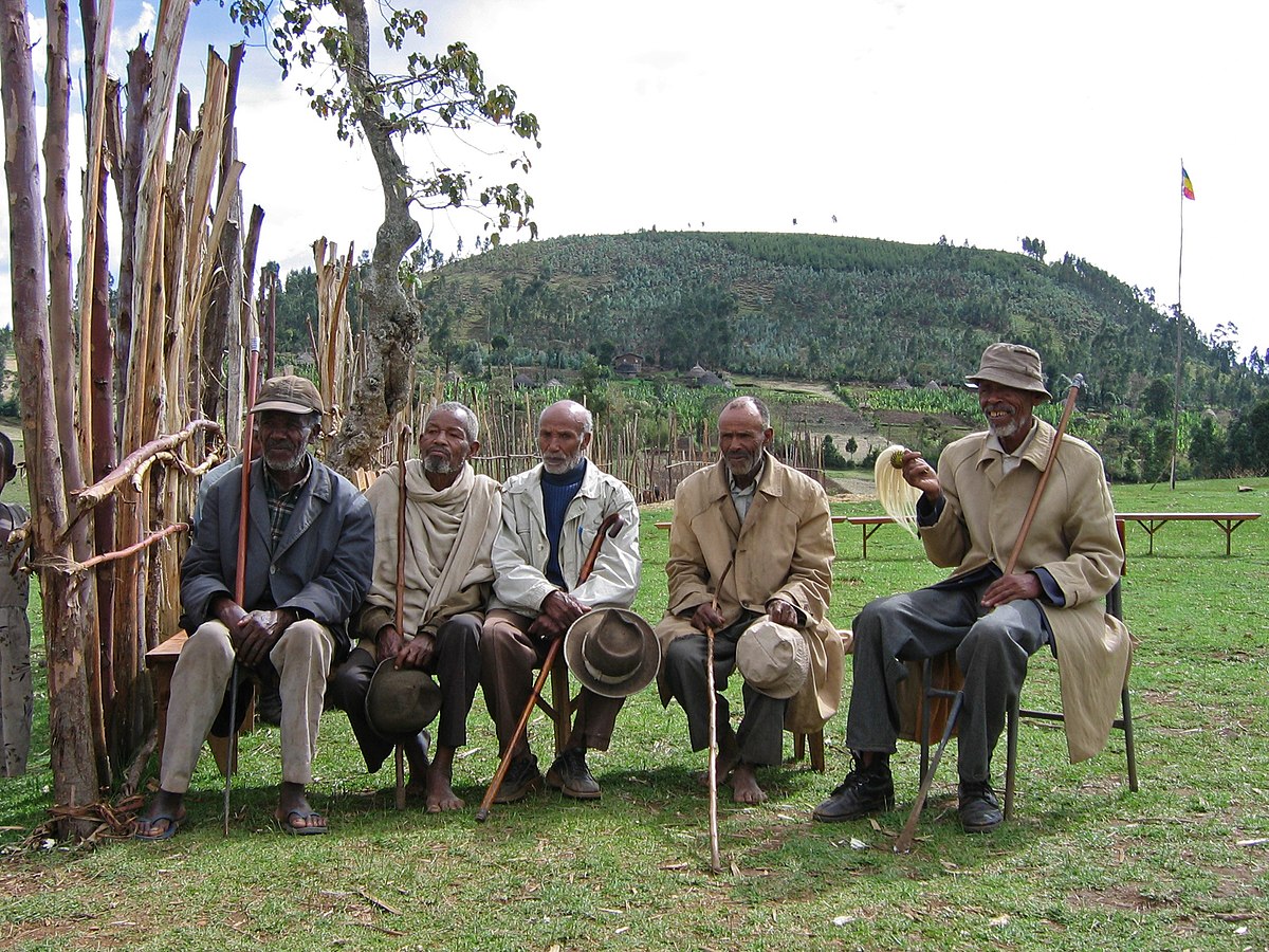 Tackling the Digital Disparity in Rural Health Services