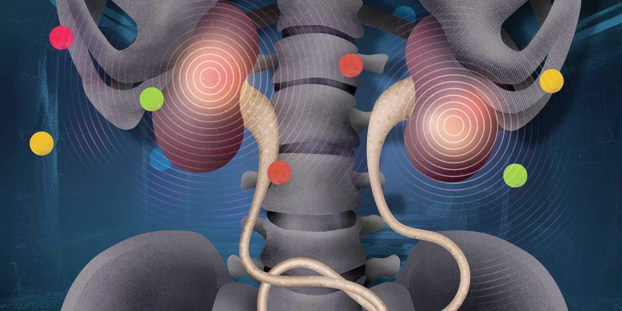 "The Importance of Early Care in Identifying and Managing Asymptomatic Kidney Disease"