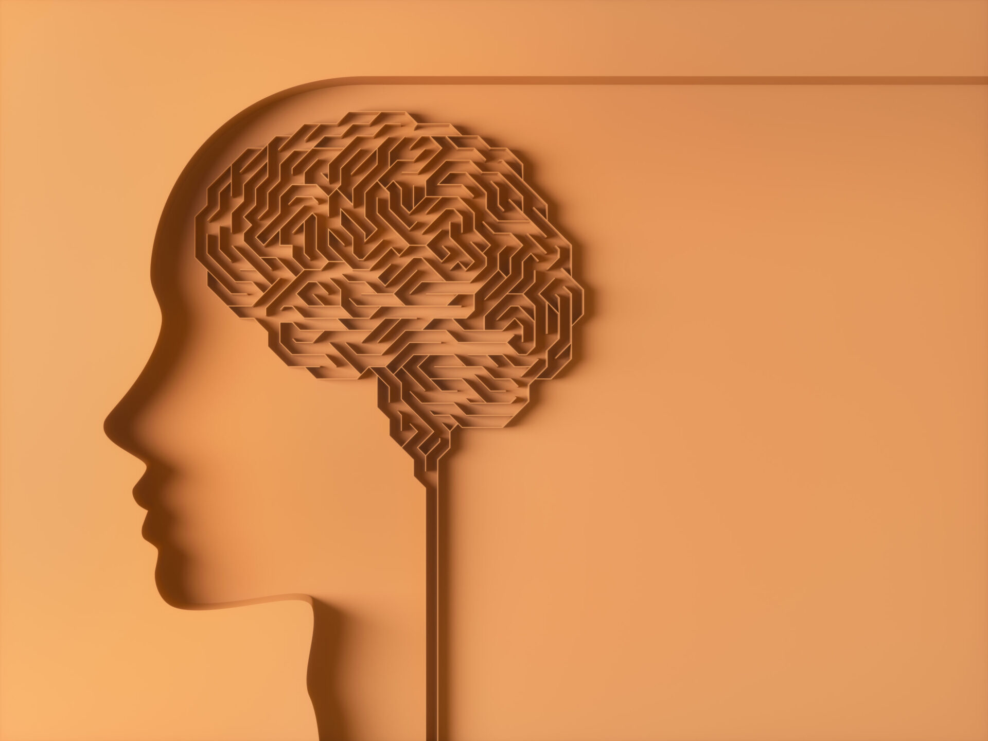 The Scientific Investigation of Menopause's Influence on Mental Health and Cognitive Function