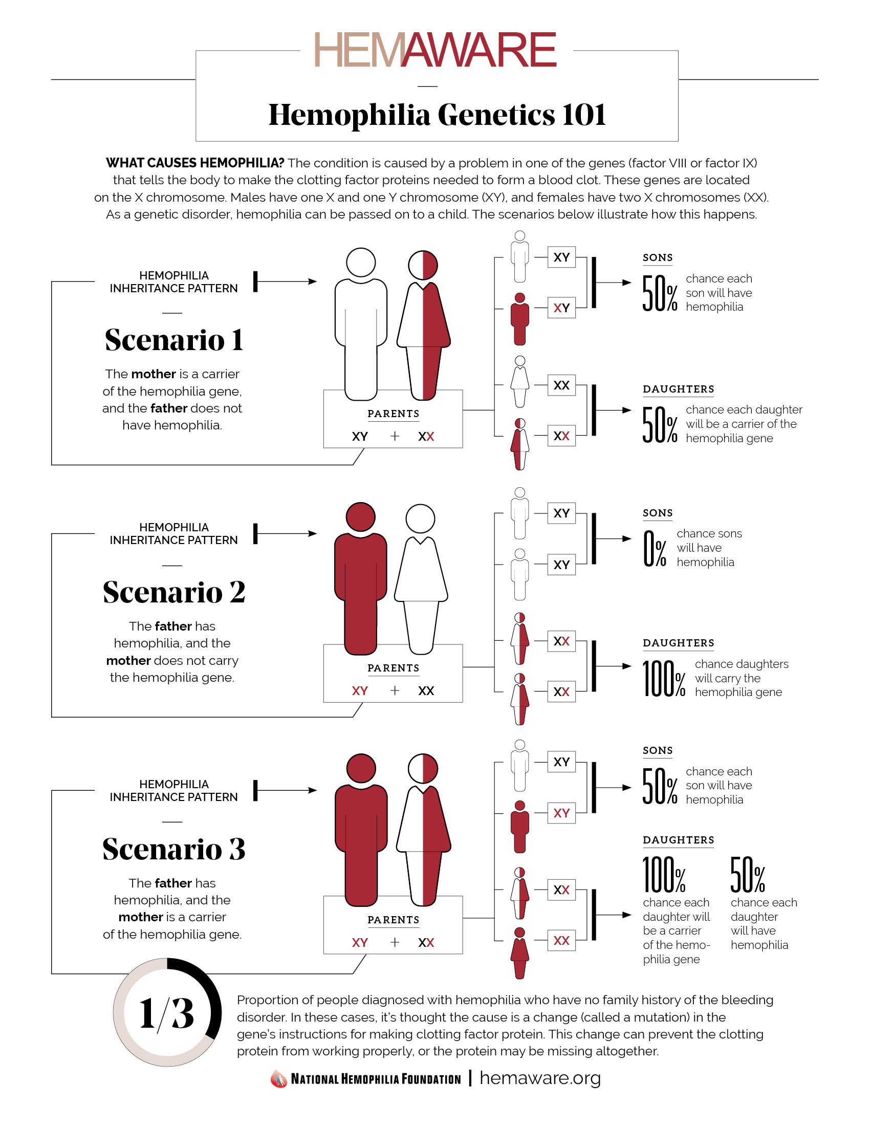 The Significance of Identifying Mild and Female Hemophilia