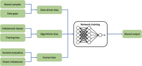 The Effect of Racial Prejudice in Dermatology AI on Patient Safety
