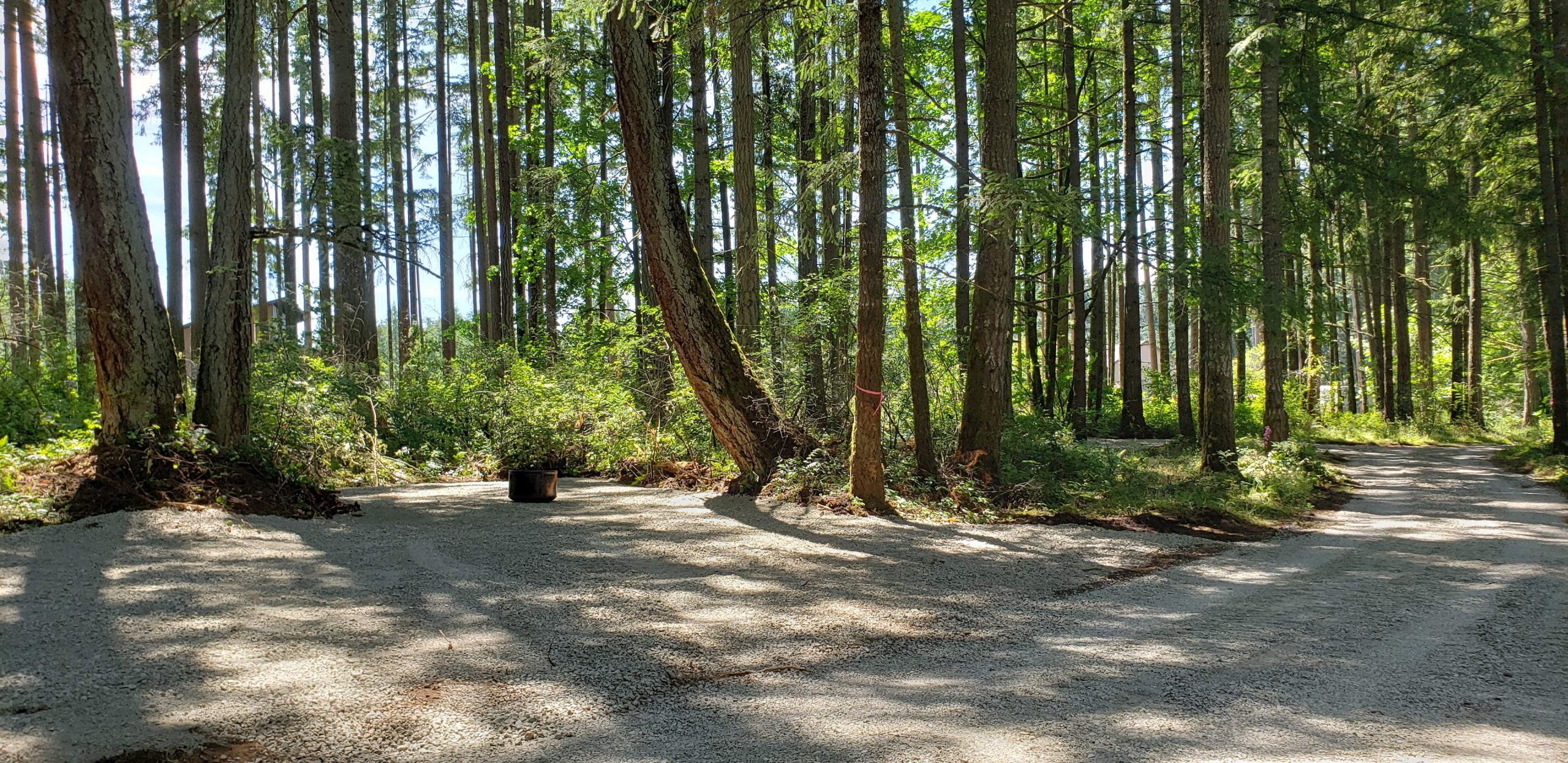 Woodland Terrace Receives Silver for Top Independent Living in the Pacific Northwest