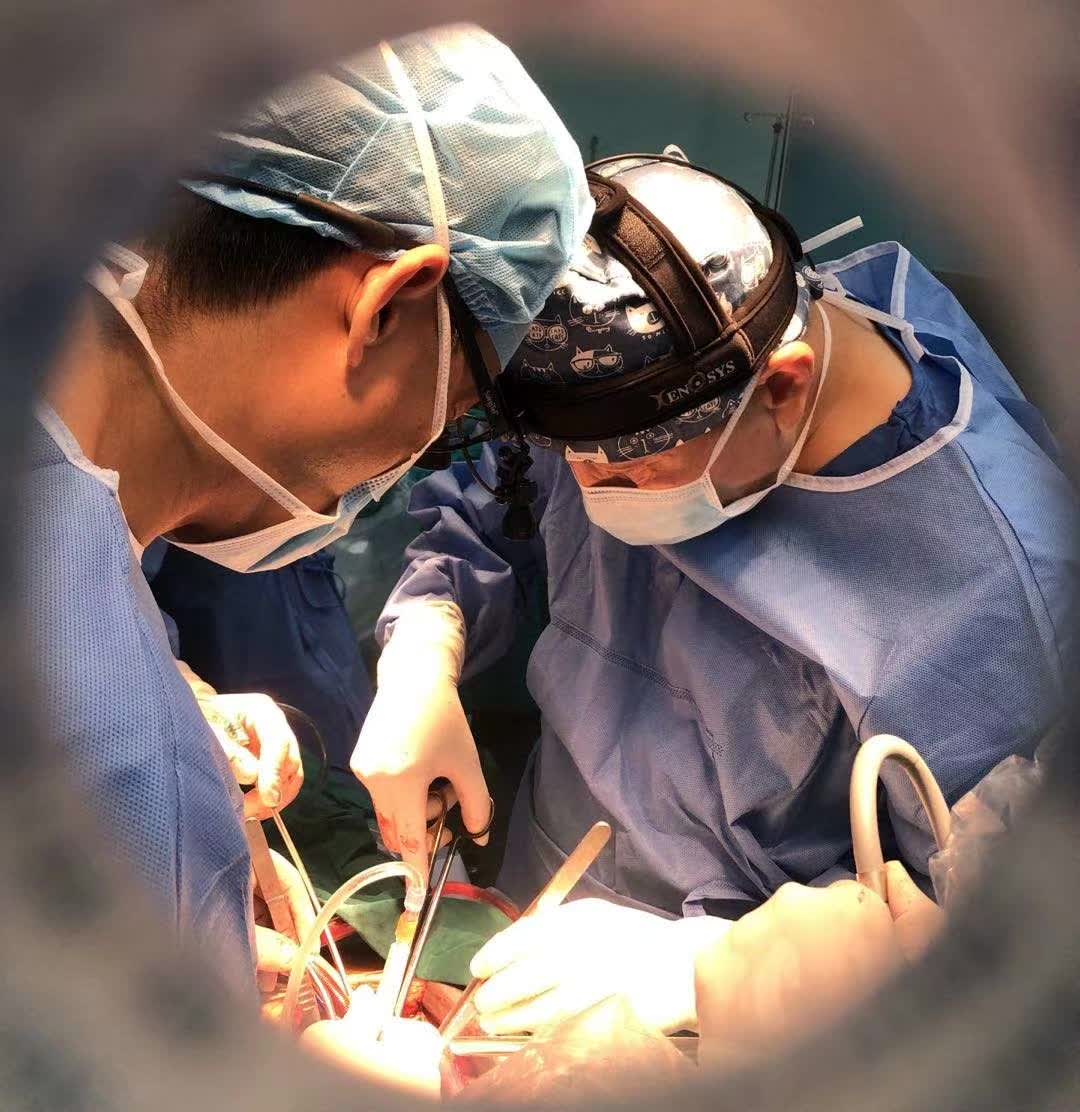 A Physician's Commitment to Advocate Restoration Instead of Substitution