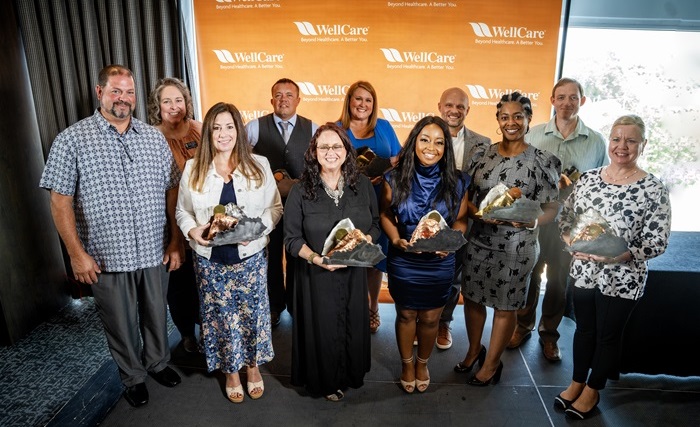 Acknowledging the Efforts of Medical Veterans and Healthcare Champions