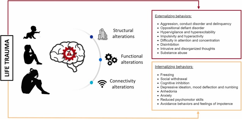 Comprehending Trauma in High-Performing Adults