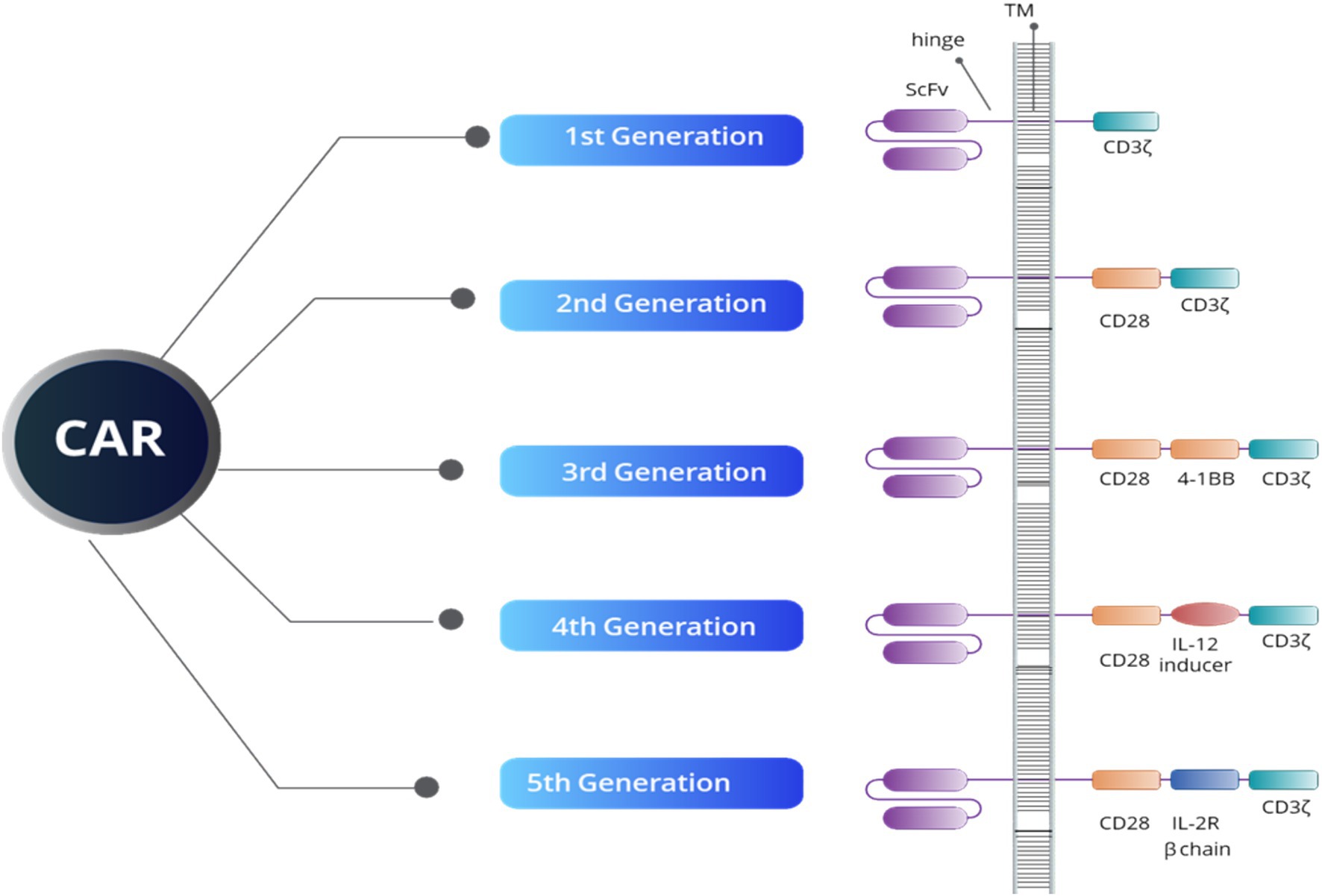 Delivering Remote Second Opinions to Guarantee Fair Cancer Treatment