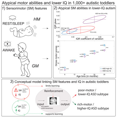 Efficient Approaches for Financing Verified Autism Therapies