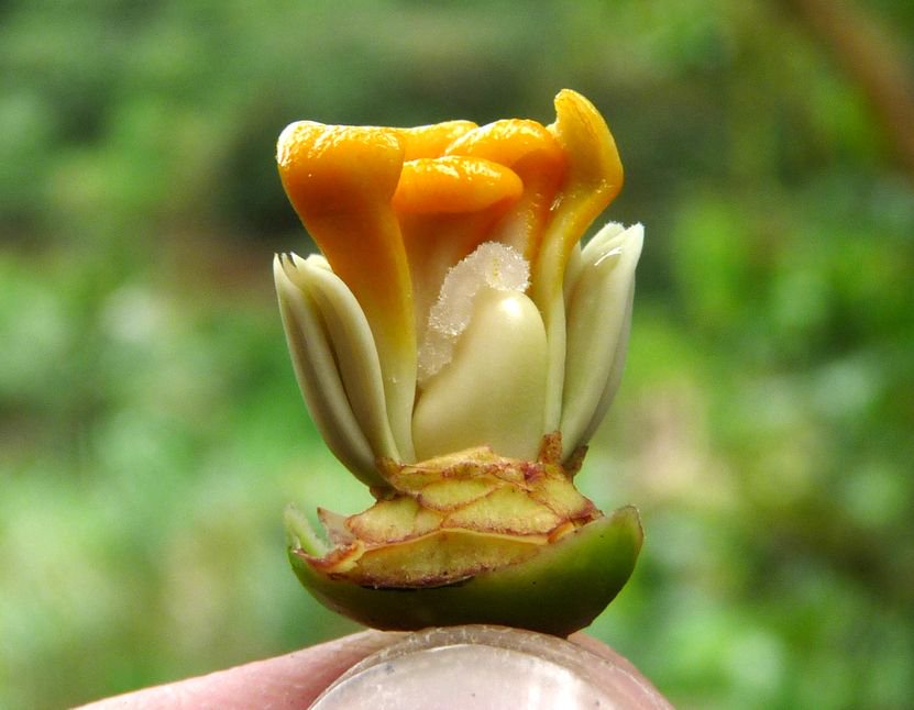 Salterra at Largo: A Notable Time of Enlightenment