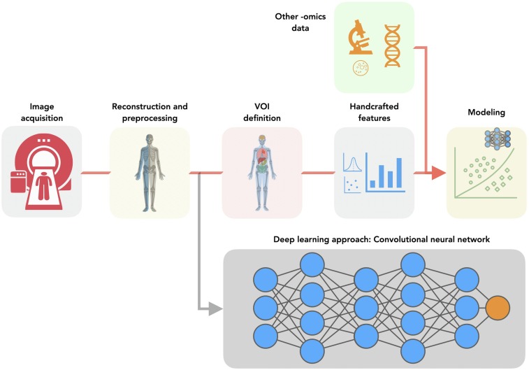 The Influence of AI Algorithms on Medical Imaging: Difficulties and Ambiguities