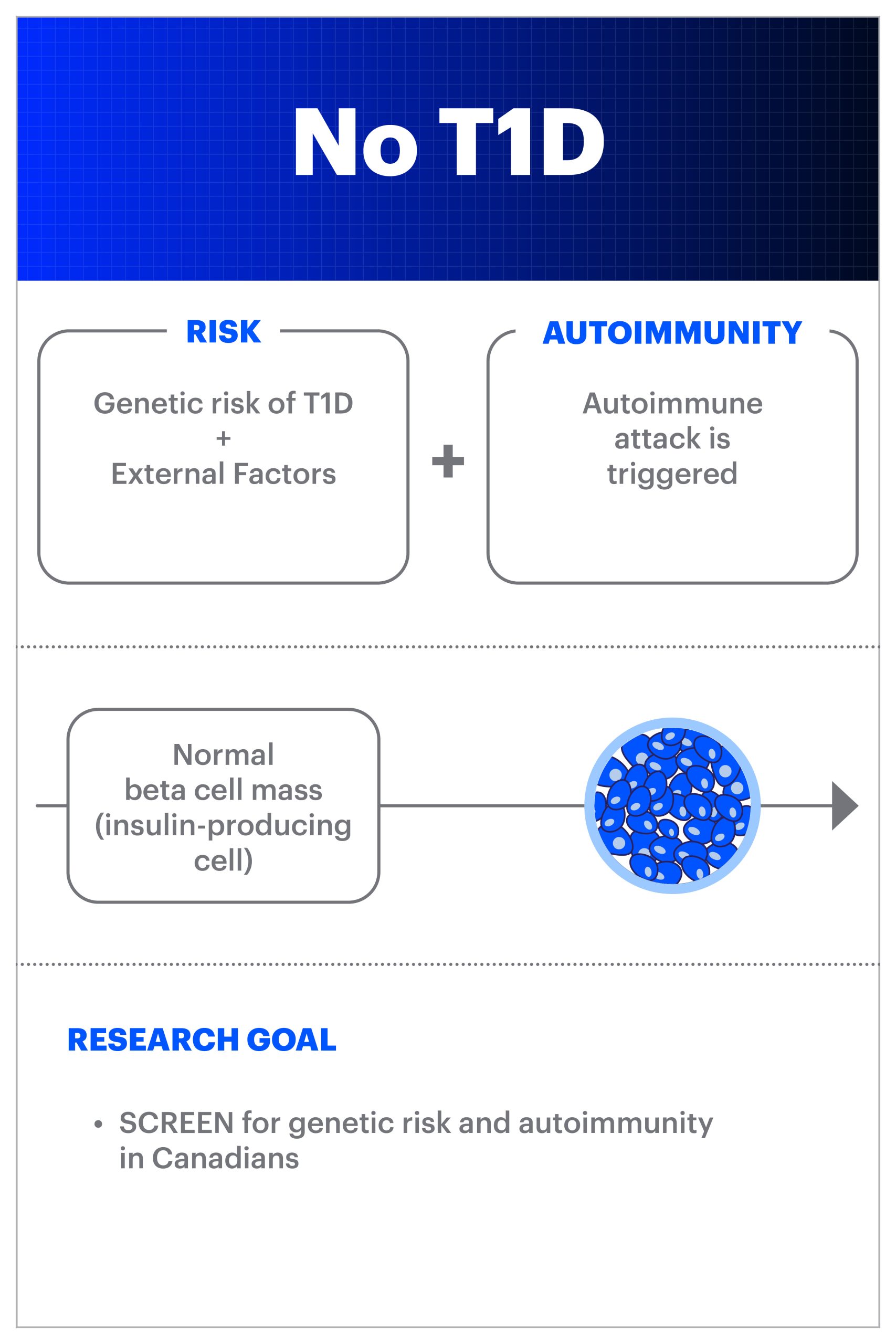 The Procedure for Obtaining a Type 1 Diabetes Diagnosis