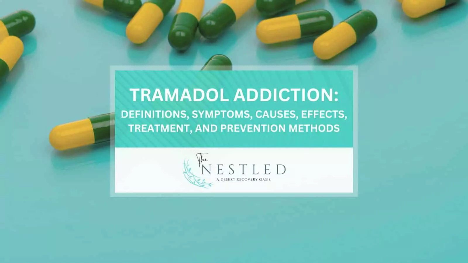 Assessing the Efficacy and Dangers of Tramadol