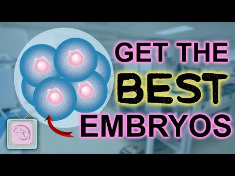 Causes of High-Quality Embryos Not Successfully Implanting [PODCAST]