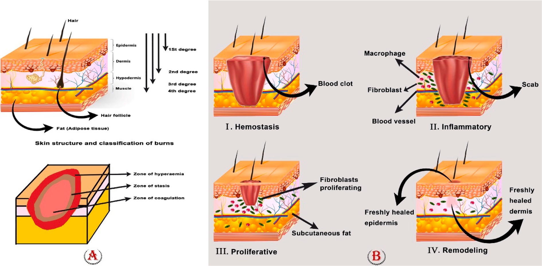 Departing Pediatric Cardiology: A Personal Narrative of Ethical Wounding