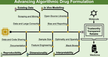 Investigating Choices for Substitute Medication Financing Initiatives