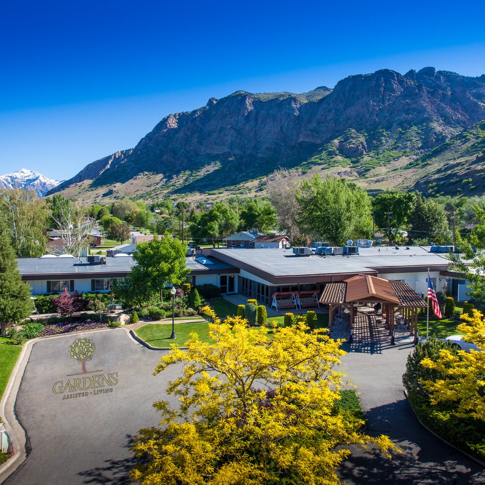 Nutritious Comfort Dishes at Treeo - South Ogden