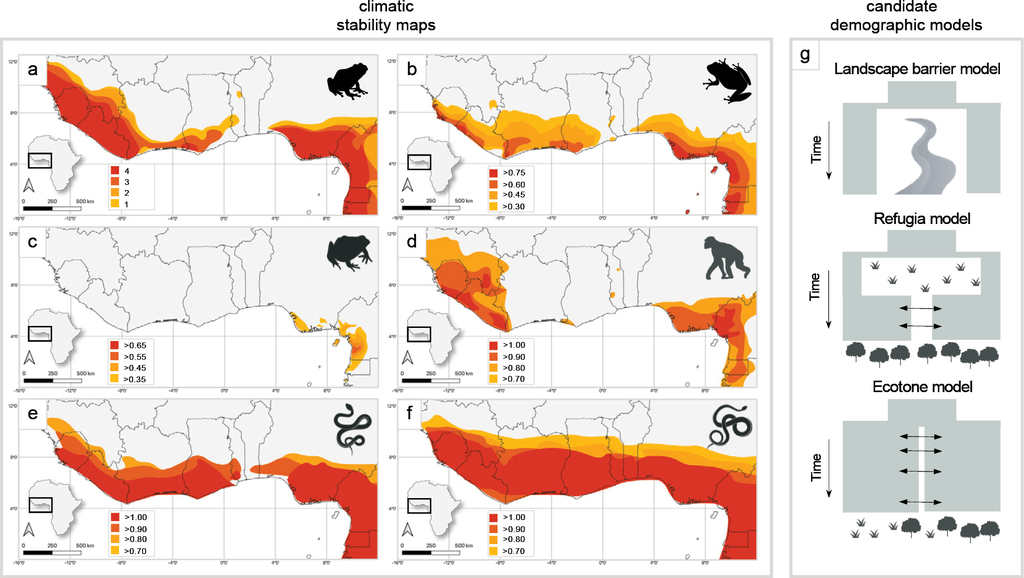 Simple Lifestyle at The Ackerly at Reed's Crossing: A Summary